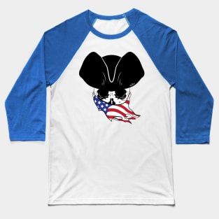 USA Pirate Logo Baseball T-Shirt